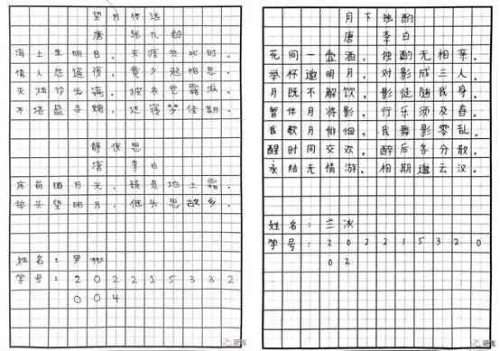 一些文字和图案描述已自动生成